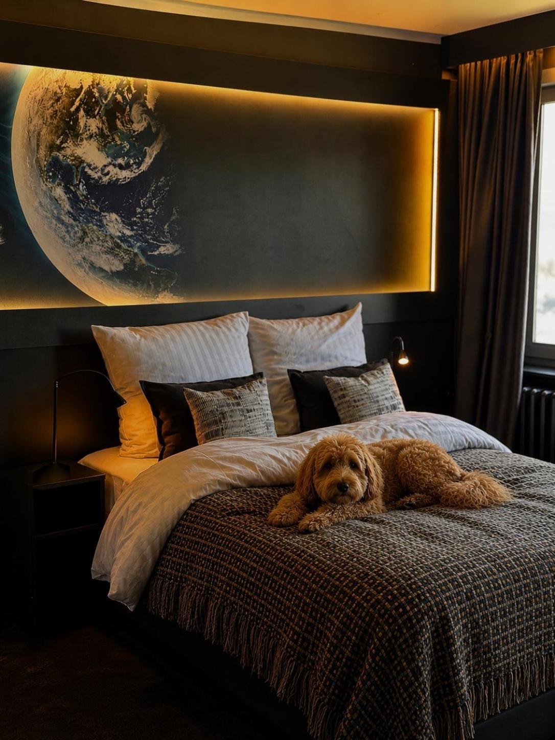 Cosmos Double Room