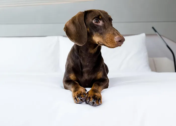 INNSiDE by Meliá Hamburg Hafen